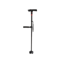 Stand Secure Cane